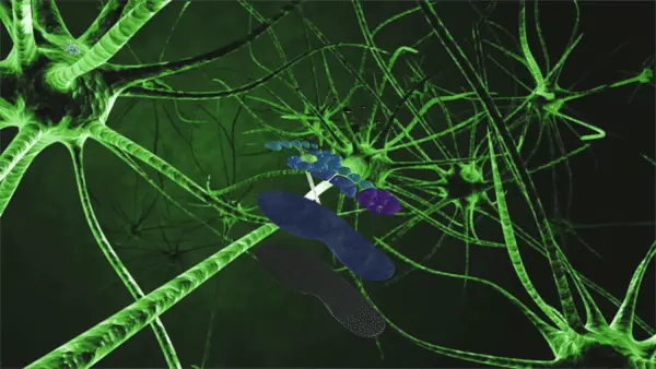 how do Akusoli insoles work